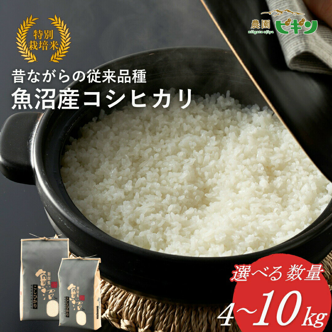 【ふるさと納税】令和7年産/令和8年産先行予約 昔ながらの魚沼産コシヒカリ 選べる産年・内容量 4kg〜10kg 精米 魚沼産コシヒカリ 4kg 5kg 6kg 8kg 10kg 農園ビギン【0002-bn00sv00-01】
