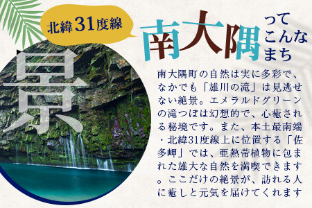 【返礼品なし】南大隅町への寄附　1口3,000円
