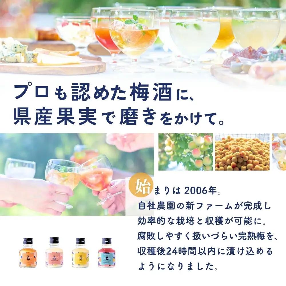 梅酒ishigami&（イシガミアンド）うめ 桃ジンジャー 2本セット / 田辺市 梅干し 梅干 梅 うめ 梅ジュース 炭酸割り 紀州産 南高梅 完熟梅 フルーツ 桃 ジンジャー【isg038-1】
