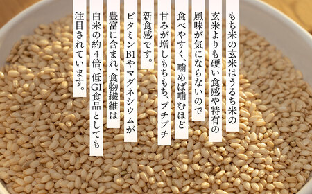 【冷凍】でわのもち使用　もち米玄米おむすび　10個（5種×各2個） 冷凍おにぎり
