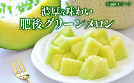 【先行予約】 小玉スイカ＆amp;肥後グリーンメロンの食べ比べ 各1玉（計2玉 約3.5kg） すいか 小玉 メロン グリーンメロン 熊本 フルーツ 野菜 果物 【日本フルーツ株式会社】[ZFJ040