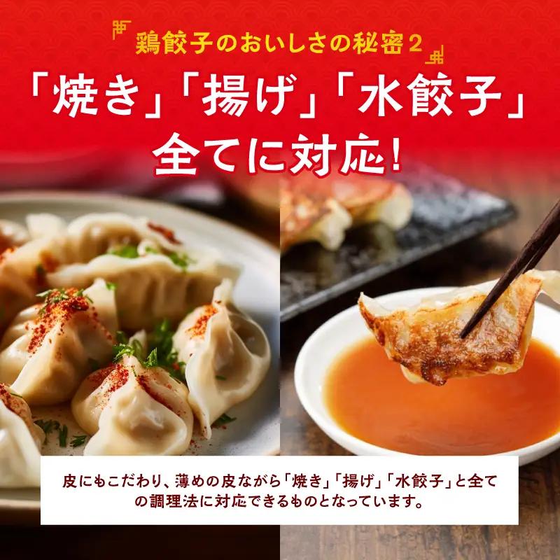 悠瑠里特製鶏餃子120個 餃子 ぎょうざ 惣菜