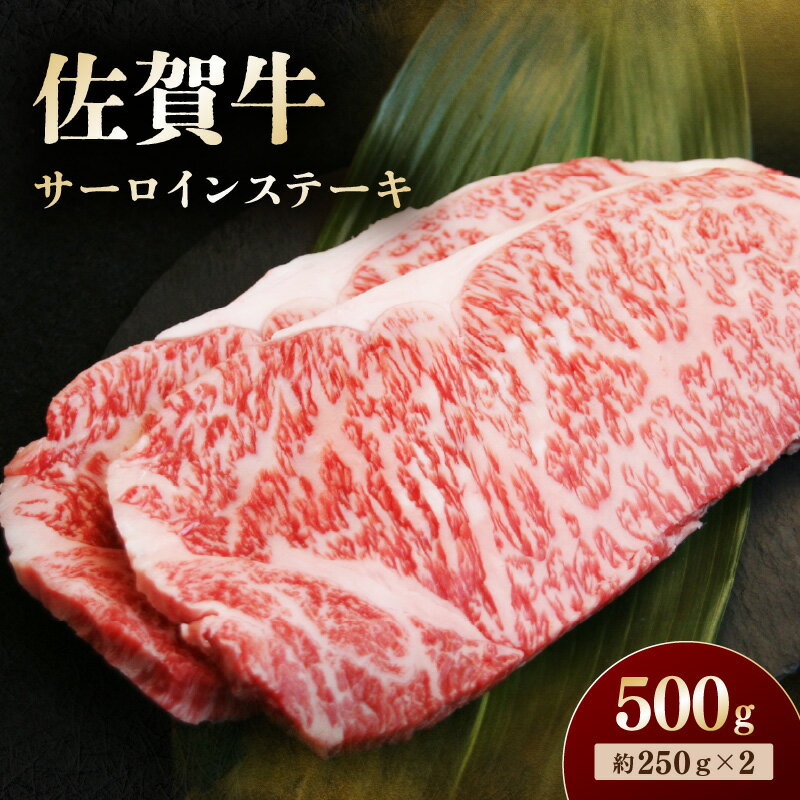 【ふるさと納税】佐賀牛 サーロインステーキ 500g 194-J1903