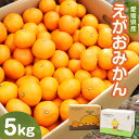 【ふるさと納税】えがおみかん 南柑20号 約5kg 3S～Sサイズ 約100～120玉 柑橘 かんきつ 温州みかん みかん 蜜柑 ミカン フルーツ 果物 くだもの お取り寄せ デザート おやつ 国産 愛媛県 常温 送料無料 【2024年12月上旬～2025年1月上旬発送】 (562)