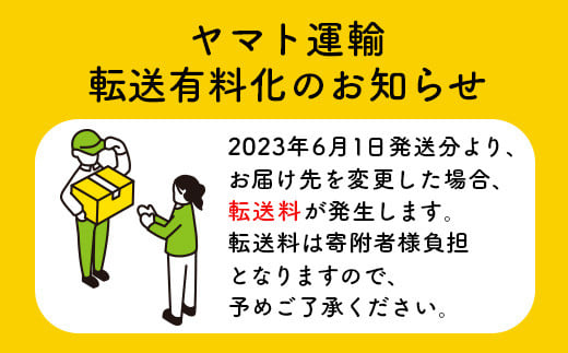 ガーリックナン2枚セット