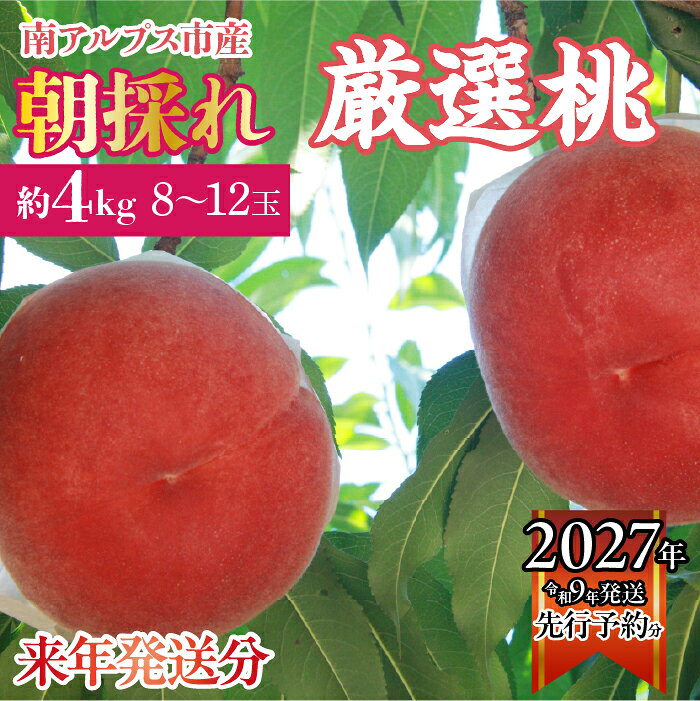 【ふるさと納税】 ＜2027年発送先行予約＞厳選！南アルプス市産　朝採れ桃　約4kg（8〜12玉） ふるさと納税 もも 桃 大玉 朝採れ 果物 フルーツ おすすめ 山梨県 南アルプス市 送料無料 ALPDD007