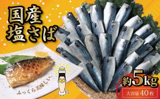 国産 塩サバフィレ 40枚 約 5kg 鯖 さば 塩鯖 塩さば フィレ フィーレ 切身 切り身 冷凍 ストック バラ凍結 小分け 国産さば 国産鯖 国内産 海鮮 魚貝 魚貝類 魚介 魚介類 海の幸 おかず ご飯 焼き鯖 焼きさば 手軽 つまみ 和食 アレンジ 人気 大容量 たっぷり ギフト お取り寄せ グルメ 贈答 贈り物 プレゼント ふるさと納税 ふるさと納税さば 千葉県 銚子市 株式会社 大成