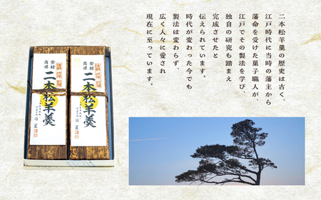 羊羹 二本松羊羹 440g×2本 羊羹 和菓子【株式会社菓子処日夏】