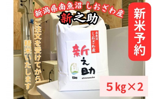 【令和8年産・新米予約】新潟県南魚沼産　新之助　10kg　大粒でツヤがあるこれまでにないお米【銘柄米 ブランド米 精米 新之助 魚沼産 新潟米 産地直送 お米 米 こめ コメ】【2026年10月中旬より1ヶ月以内に順次発送予定】
