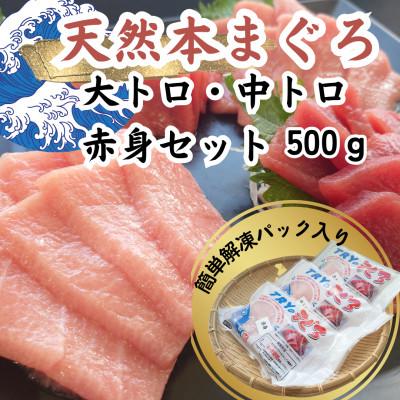ふるさと納税 静岡市 【天然】　本鮪　大トロ100g　中トロ200g　赤身200g　セット　合計500g