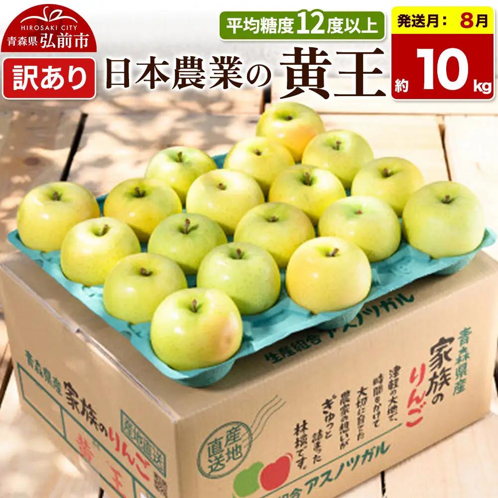【26年8月クール便発送】りんご 黄王【訳あり】約10kg 平均糖度12度以上 青森県産 果物 フルーツ 林檎 リンゴ くだもの 不揃い 規格外