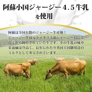 【3回定期便】馬肉ハンバーグ 熊本と畜 馬肉100％ 馬ミンチ ヘルシーミート 高タンパク 低カロリー 150g 12個 計1800g 1.8kg 小分け 個包装 焼くだけ おかず 簡単 阿蘇小国ジャ