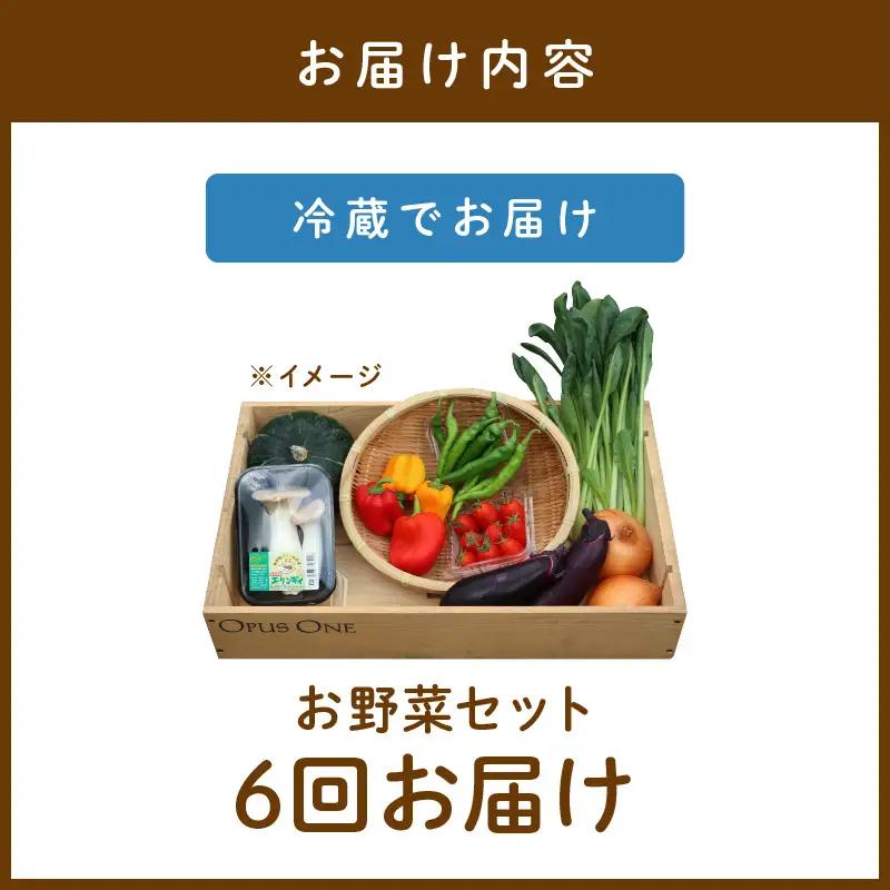 【6回定期便】有機野菜・京野菜の『京都やおよし』のお野菜詰め合わせ