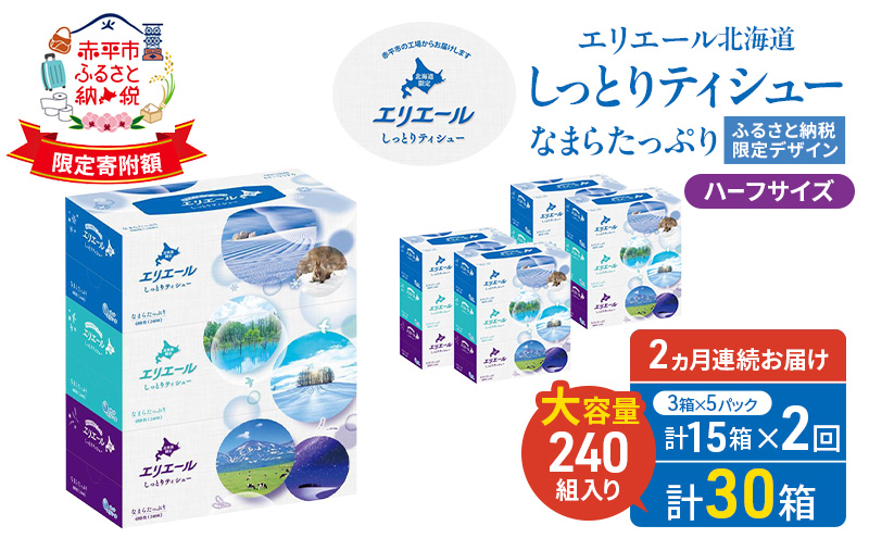 定期便 2ヵ月連続お届け エリエール ハーフサイズ 収納に便利 コンパクト 【少量5パック】 北海道 しっとりティシュー なまらたっぷり 240組3箱 5パック 計15箱 ボックスティシュー ふるさと納税限定デザイン