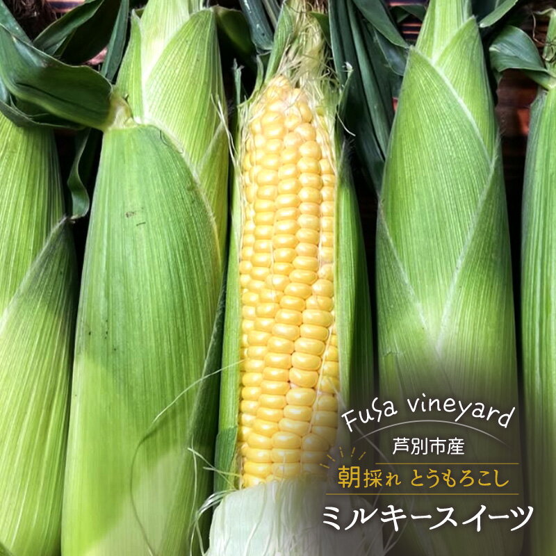 【ふるさと納税】北海道芦別市産 とうもろこし ミルキースイーツ 朝採れ 当日出荷 数量限定 生食可 FuSa vineyard 夏野菜　お届け：2026年8月上旬～8月中旬まで