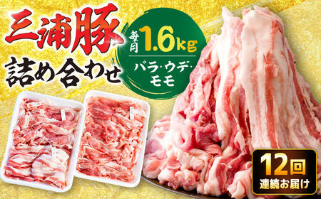 【12回定期便】 特盛三浦豚 1.6kg 豚肉セット / 恵那市 / あづま精肉店 [AUDL008]