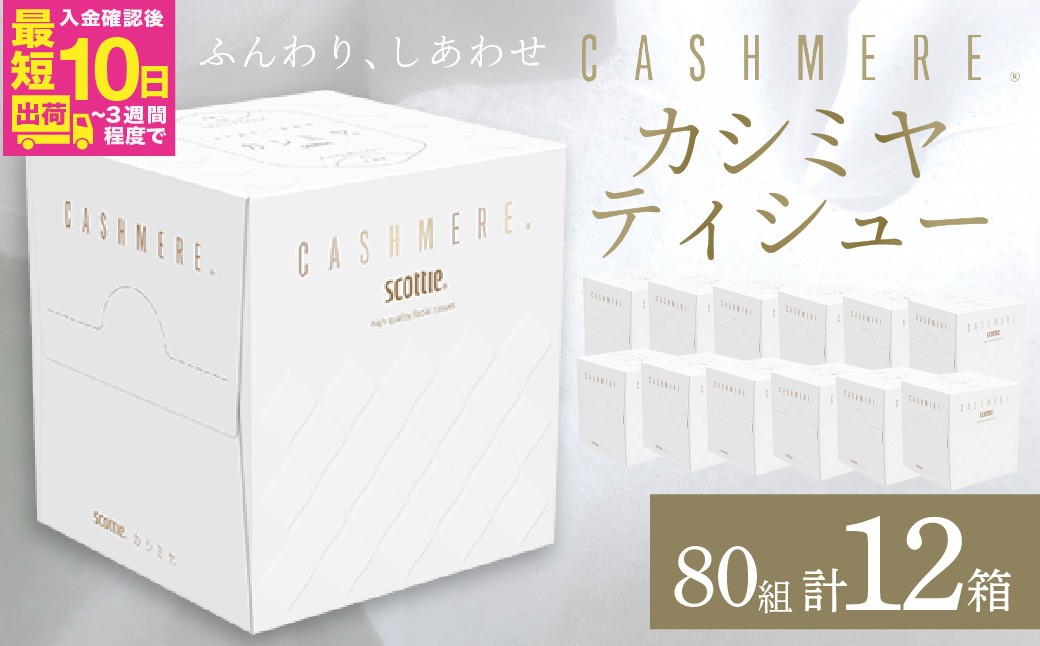
                  スコッティ カシミヤ キューブ 80組(1箱)×12箱【入金確認後、最短10日～3週間程度で発送】 | 日用品 箱ティッシュ 160枚 12箱 コンパクト 洗面台 洗面所 ドレッサー 花粉症 柔らかい 優しい やさしい サイズ 車用 オフィス 職場 デスク おしゃれ お洒落 デザイン テーブル 店舗 シンプル 上質 埼玉県 草加市 
                