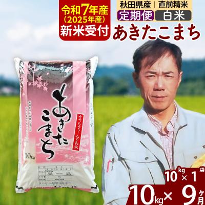 ふるさと納税 北秋田市 R7年産 新米受付《定期便9ヶ月》秋田県産あきたこまち10kg【白米】|msrf-10609