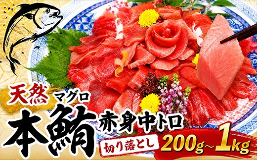
                  【容量選べる】 天然本マグロ 中トロ 赤身 切り落とし 200g ～ 1kg 小分け 訳あり マグロ 刺身 カルパッチョ まぐろ丼 まぐろ漬け丼 魚 惣菜 海鮮丼 魚介類 食べきりサイズ 父の日 冷凍 不揃い クロマグロ 黒マグロ 10000円 5000円 マグロ刺身 マグロ中トロ マグロ赤身 マグロ切り落とし 鮪刺身 鮪中トロ 鮪赤身 鮪切り落とし 本鮪 訳あり 人気 おすすめ 高知県 室戸市
                