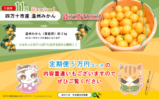 【年末限定】 5回 定期便 四万十 人気 グルメ お楽しみ しまんと ふるさと 定期便 5万円 Aコース 今だけ 限定 野菜 うなぎ 鰻 パン 冷凍パン 魚 魚介 タタキ たたき 鰹 かつお フルーツ