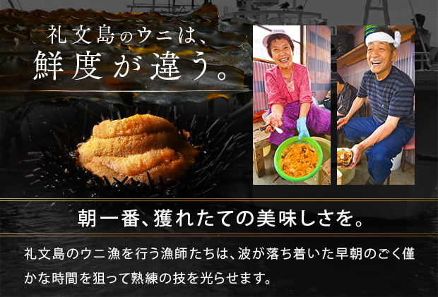 北海道 礼文島産 産地直送 鮮度抜群 塩水 生キタムラサキウニ 90g×1パック