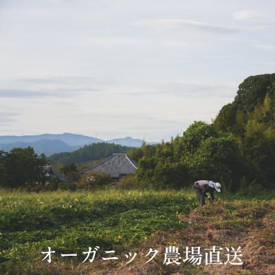 ふるさと納税 掛川市 【毎月定期便】しあわせ野菜畑の有機野菜　Sセット　(安心の有機JAS認証　オーガニック野菜)全6回 |  | 01