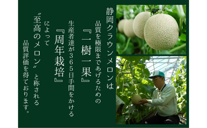【3ヶ月定期便】クラウンメロン（山等級）１玉入 