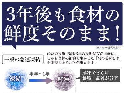 CAS凍結　オリーブサーモン　１尾【B-24】