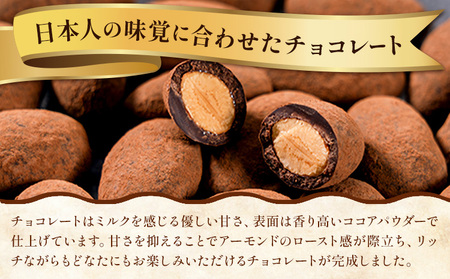 チョコ チョコレート ココア アーモンドチョコ 500g《30日以内に出荷予定(土日祝除く)》和歌山県 日高川町 送料無料 スイーツ デザート お菓子 おやつ チョコ アーモンド アーモンドチョコ コ