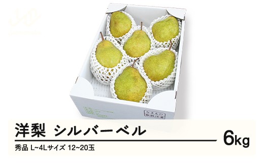 
                  【先行予約】シルバーベル L~4L 秀品 6kg(3kg×2箱) 洋梨 令和8年産 2026年産 果物 ※沖縄・離島への配送不可  mm-sbsxx6
                