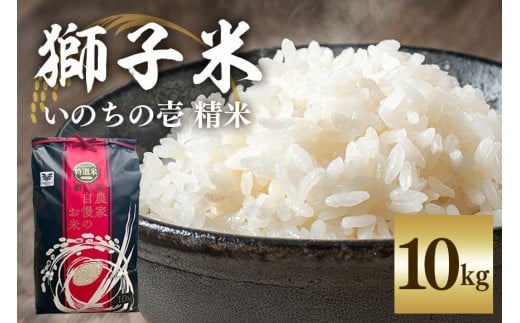 【令和7年産】獅子米 いのちの壱 精米 10kg 岡田ファーム コンテスト受賞米 お米 白米 米 おこめ ブランド米 10キロ 国産 単一原料米 コメ こめ ご飯 銘柄米 茨城県産 茨城 産直 産地直送 農家直送 ごはん 家庭用 贈答用 お取り寄せ 茨城県 石岡市 (B02-018)