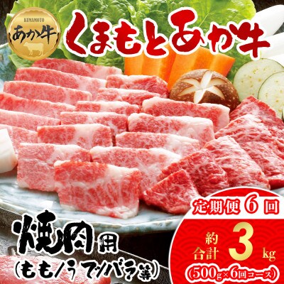【毎月定期便】【GI認証】くまもとあか牛　焼肉用約500g(阿蘇市)全6回【配送不可地域：離島】【4053037】