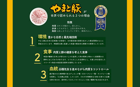 岩手県産やまと豚５種約1.3kg  国産 肉 豚肉 やまと豚 鍋 焼肉 豚ロース 豚バラ 豚こま モモスライス ひき肉 とんかつ 生姜焼き しゃぶしゃぶ 真空パック 小分け 冷凍 岩手県 岩手町