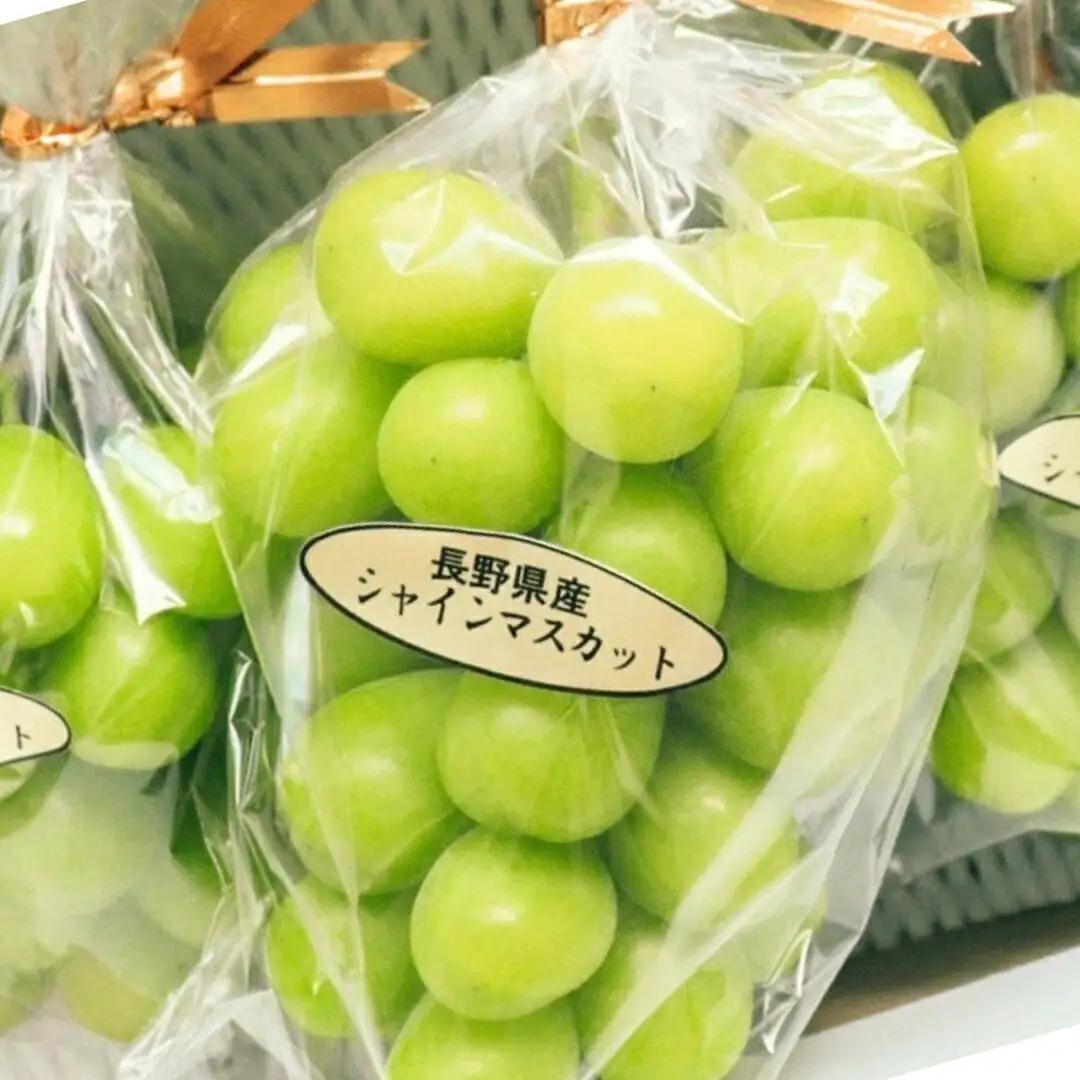 【2026年先行予約】氷温貯蔵シャインマスカット 約1.5kg(3~4房)|シャインマスカット