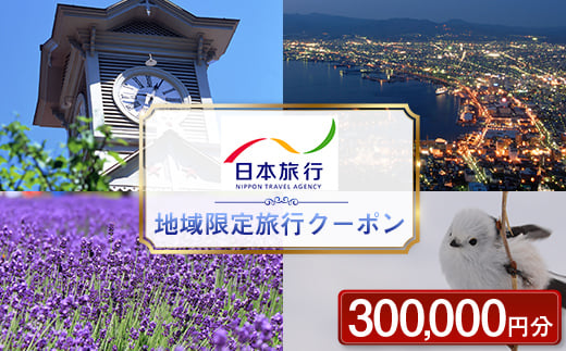 
北海道 日本旅行 地域限定旅行クーポン300,000円分 チケット 旅行 宿泊券 ホテル 観光 旅行 旅行券 交通費 体験 宿泊 夏休み 冬休み F6S-144
