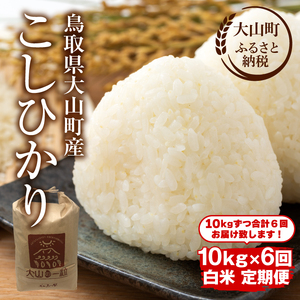 MS-104　頒布会（大山町産こしひかり【大山の一粒】白米10ｋｇ×6回）