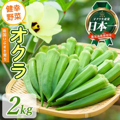 ふるさと納税 指宿市 指宿産オクラ 約2kg(010-461)