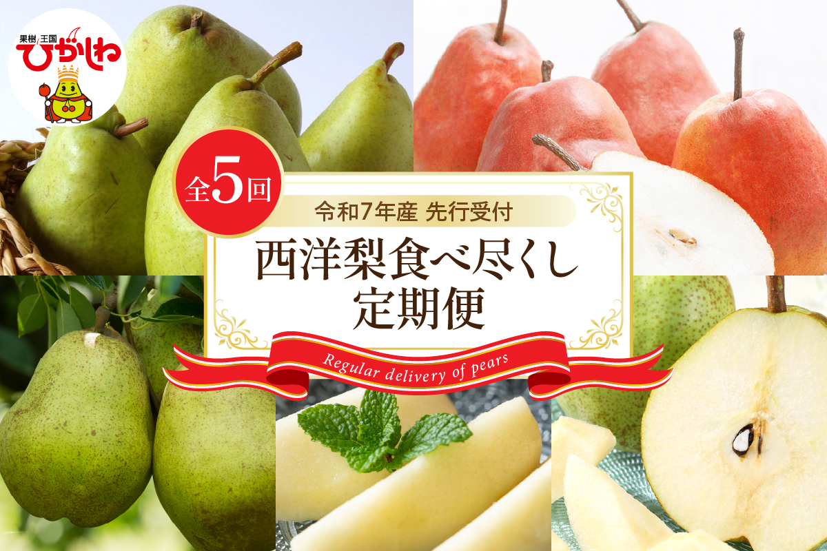 【令和7年産 先行予約 5回定期便】西洋梨食べ尽くし定期便 東根農産センター提供 hi027-201-2