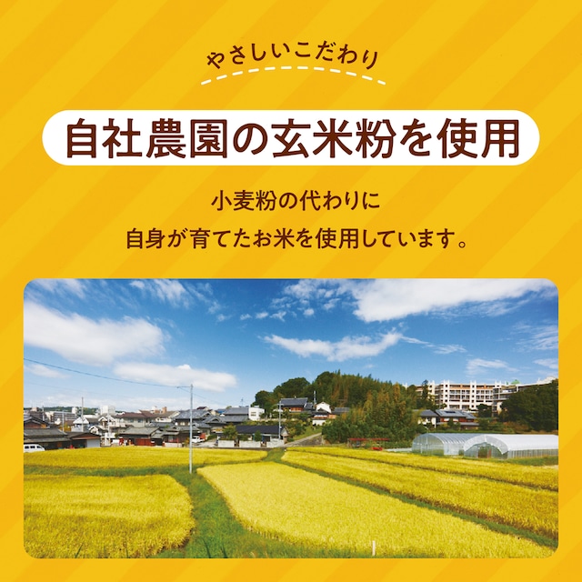 グルテンフリー バターチキンカレー 180g×10袋 奈良おおの農園 奈良県 奈良市 なら G-131