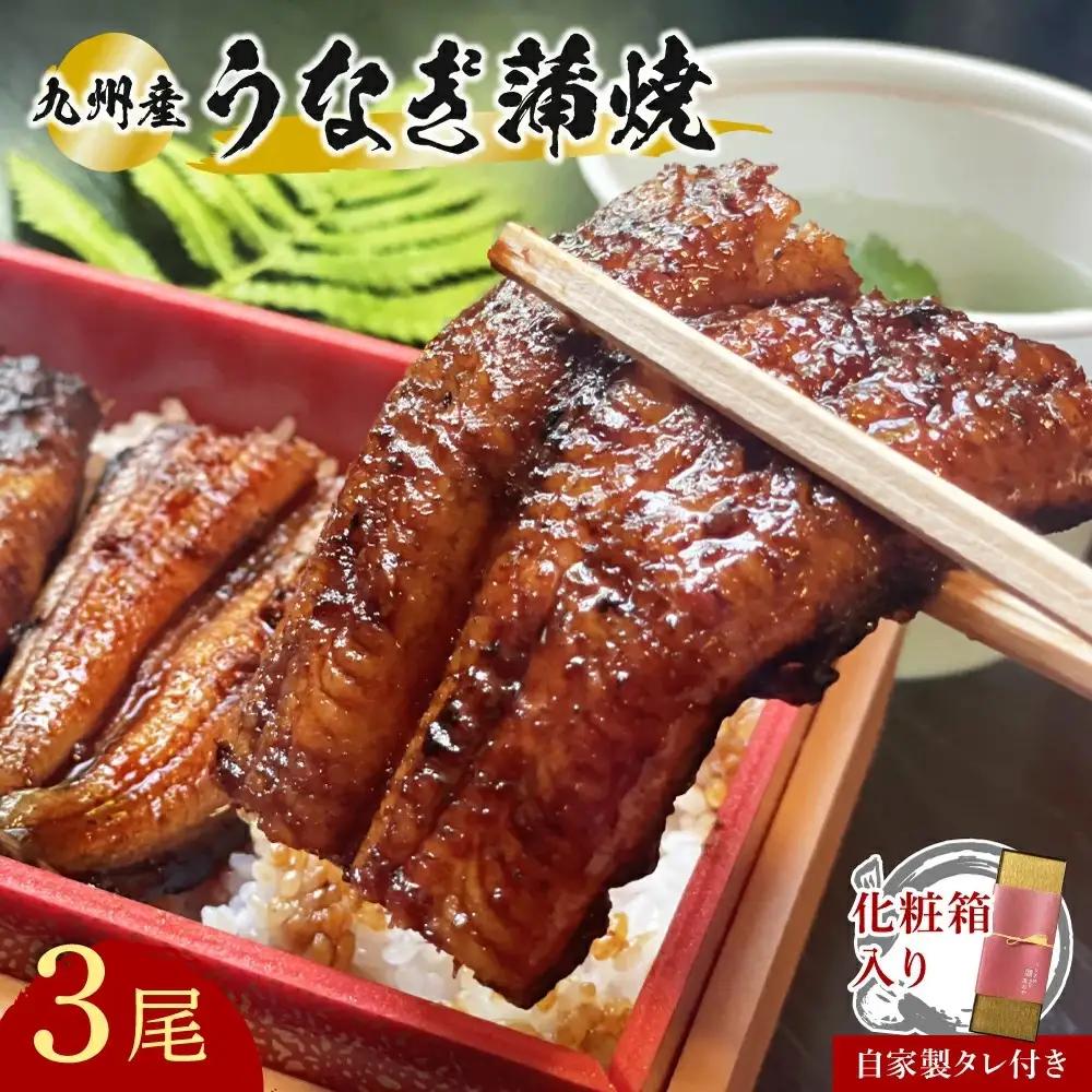 うなぎ 蒲焼3本 | うなぎ