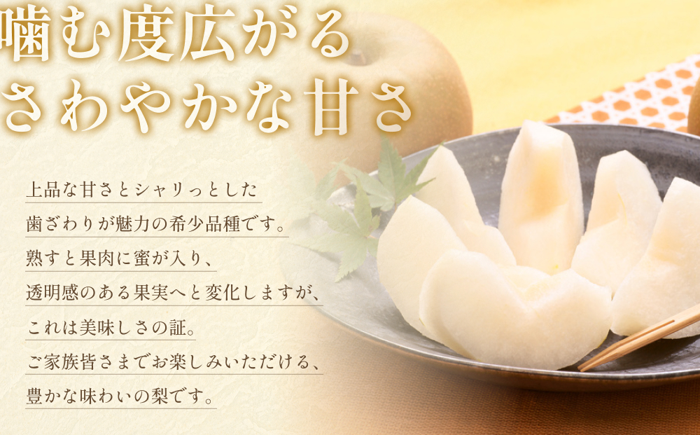【2026・先行予約】秋栄（あきばえ）3kg｜鳥取 果物 フルーツ なし 梨 2026年収穫後【41034】