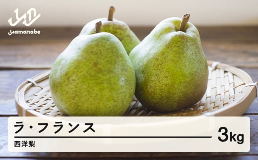 
            【先行予約】山形県産 西洋梨(ラ･フランス) 令和7年産 3kg F20A-917 ※沖縄・離島配送不可
          