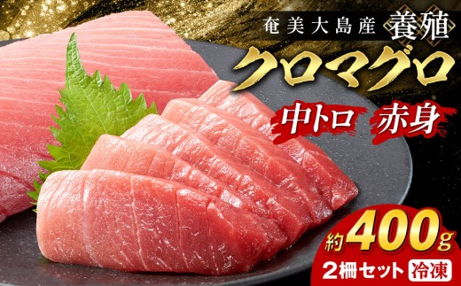 
                  クロマグロ 2柵セット 400g以上 中トロ 赤身 冷凍 マグロ まぐろ 黒マグロ クロマグロ 本マグロ 養殖マグロ 冷凍マグロ マグロ刺身 マグロ中トロ 中トロ マグロ赤身 赤身 海鮮丼 ブロック お刺身 お取り寄せ カルパッチョ まぐろ丼 お寿司 手巻き寿司 人気マグロ おすすめマグロ 奄美大島マグロ 海鮮 魚介類 魚 さかな 人気 おすすめ 奄美大島 鹿児島県 瀬戸内町
                