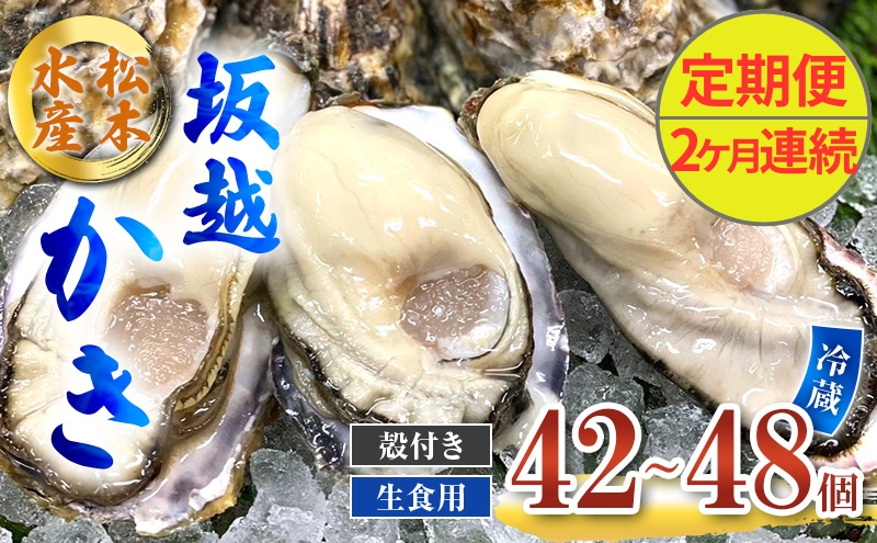 定期便 牡蠣 生食用 坂越かき 殻付き 42～48個《2ヶ月連続お届け》 松本水産 [ 生牡蠣 真牡蠣 かき カキ 冬牡蠣 ]