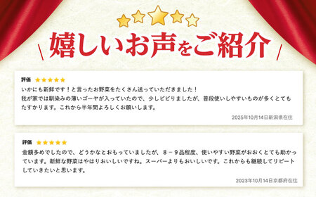 野菜 12回定期便  諫早産野菜の詰め合わせ 8・9品目程度 [AHDI003]