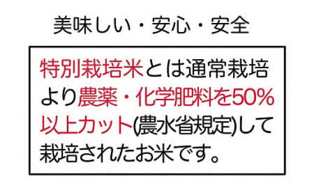 コシヒカリ 白米 会津 5kg 1袋 令和6年年米 減農薬 特別栽培米 米 お米 藤川農産 3-L　※2024年10月中旬頃より順次発送予定