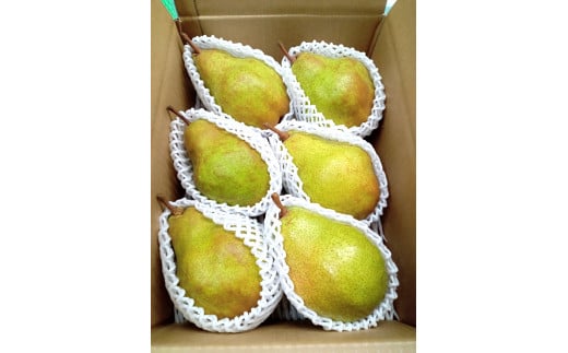 西洋梨（シルバーベル）３ｋｇ　贈答用　0142-2514