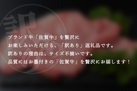 【訳あり】佐賀牛 ロースステーキ 合計500g D-213 [佐賀県 鹿島市 ロースステーキ ロース ステーキ 精肉 訳あり おすすめ 人気 肉 お肉 にく 佐賀牛 和牛 国産 国産和牛 牛 うし 牛