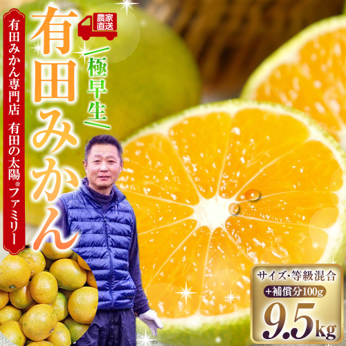 有田みかん専門店 有田の太陽(登録商標)ファミリー 極早生 有田みかん 9.5kg＋補償分100g 山採れ・サイズ・等級 混合