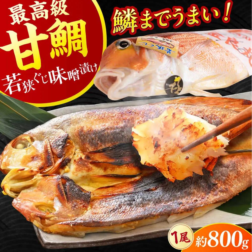 【加福鮮魚】若狭ぐじ 味噌漬け開き 1尾 800g 甘鯛 タイ アカアマダイ 高級  小浜市 / 加福鮮魚 【配送不可地域：北海道・沖縄・離島】 [BFBC002] 